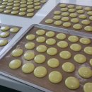 지니홀릭수제디저트