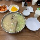 신기방기 칼국수 | 성남 복정동 맛집 청담닭칼국수 점심 후기