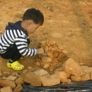 돌탑농장 이미지