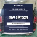에이스덴트칼라