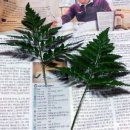 꽃꽂이 중급 이미지