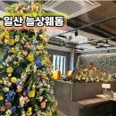 일산 애견동반식당 / 인테리어 예쁜 라페스타 파스타 맛집 늘상웨돔 솔직후기