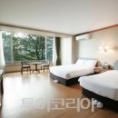 베니키아 호텔 이미지