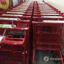 비치카트