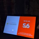 도치 | 광화문 화덕 피자 맛집 '도치피자' 광화문점 내돈내산 후기!