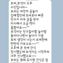 도그힐튼 이미지