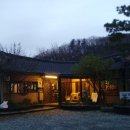 고기리금잔디 티스토리