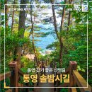 통영 걷기 좋은 산책길 ＜솔밤시길＞ 이미지