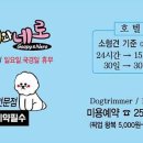 구피애견 이미지