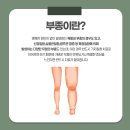 코끼리다리