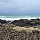 온평리-9 이미지