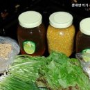 와룡벌꿀농원