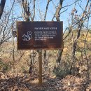 베어크리크 춘천 이미지