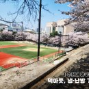 수원베이스볼파크