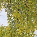 신당마을회관 이미지