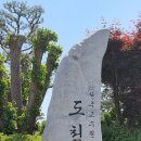 도척성당 이미지