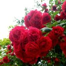 두정e편한세상(1차) 이미지