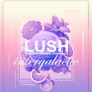 저녁)포토샵 이미지