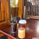 사진마당 | 경주 황리단길 카페 “스컹크웍스” 애견동반 가능한 한옥 마당 카페 내돈내산 솔직후기