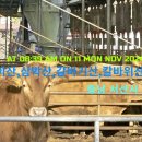 서산시-뒤린골이산 삼박산 갈바기산 칼바위산 전라산 이미지