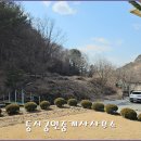 큰집부동산공인중개사사무소 이미지