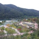 홍천강 자라바위 오토캠핑장 이미지