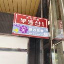 해운대로 785 | 새벽에도 가능한 해운대꽃집 24시간 운영 무인픽업 가능한 파리프랑 꽃다발 후기