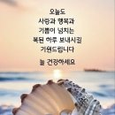 10월14일(월)숭이님들 출석하숑 이미지