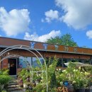 봉동코다리 이미지