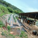 명상농장 이미지