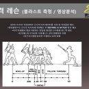 [군포, 안양, 수원, 안산] ## 쇼케이 스포츠 베이스볼 ## 200평규모와 7M층고 / 한국최초 비선수출신 프로야구 선수배출 / 차별화 된 레슨 프로그램 이미지
