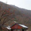 남평민물장어 이미지