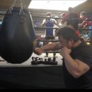 팀홍복싱 이미지