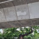 민비집 | ［수도권 기도터］뿌리 깊은 나무 민비 선황 기도터