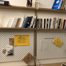 씨젤리피쉬 이미지