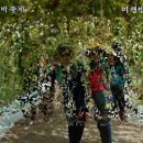 2016.8.21(일)청양 알프스마을 세계박축제-천장호 출렁다리의 영상앨범 이미지