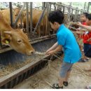 정우목장 이미지