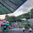 전원일기마을 오토 캠핑장 | 힐링 그 자체! 계곡과 자연이 어우러진 경주캠핑장 전원일기펜션오토캠핑장 후기!