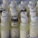 강남-029 이미지