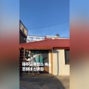 제주촌캉스 이미지