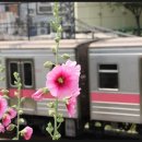강남노동조합 이미지