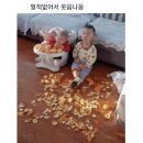 토로로 - 은평구 통일로 972 | 토로로
