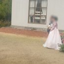 웨딩출장뷔페 메뉴 솔직 후기