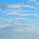 다이소대구방촌시장점 이미지