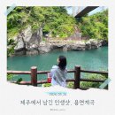 용연 | 제주공항 근처 가볼만한곳｜용연계곡 용연구름다리 산책 후기