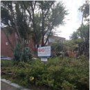 지산2동행정복지센터 이미지