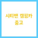 시티밴 캠핑카 중고