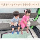 암남동주민센터 | 부산 아이랑 송도해상케이블카 크리스탈 크루즈 시간 주차 용궁구름다리