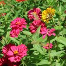 교로3리마을회관 이미지