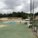 강아지 놀이터 이미지